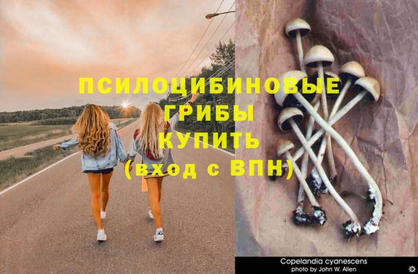гидропоника Магас