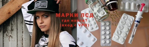 крисы Магадан