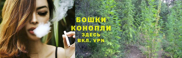 гидропоника Магас